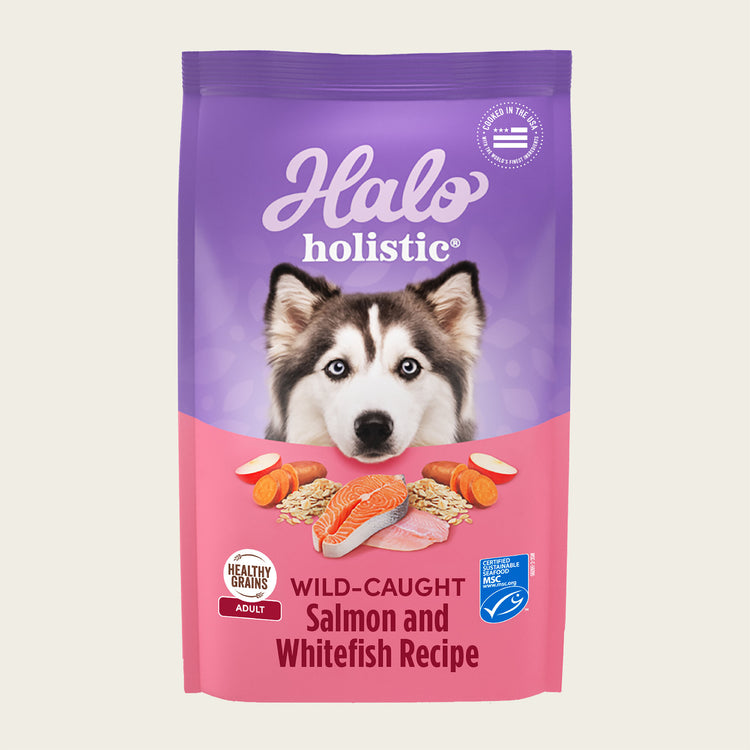 Holistic Healthy Grains Wild-Caught Salmon & Whitefish Recipe Adult Dry Dog Food
