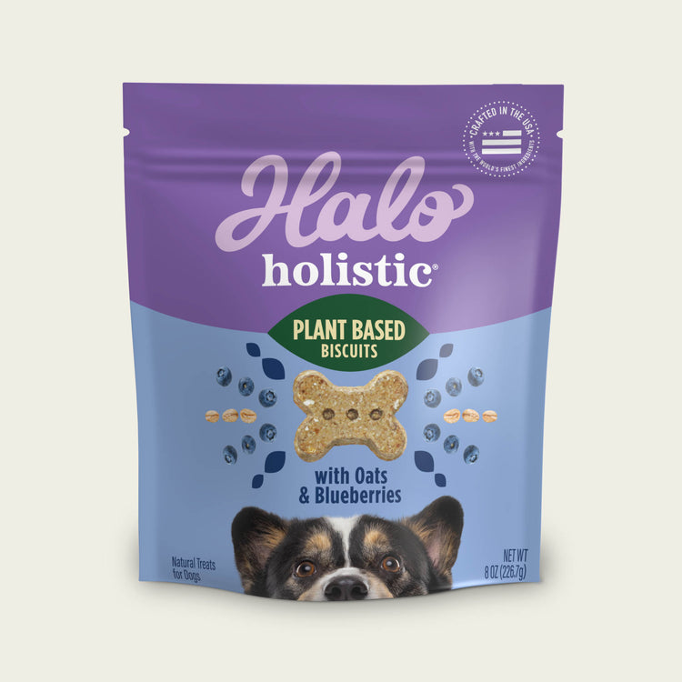 Holistic Plant Based with Oats & Blueberries Dog Biscuits 8 oz