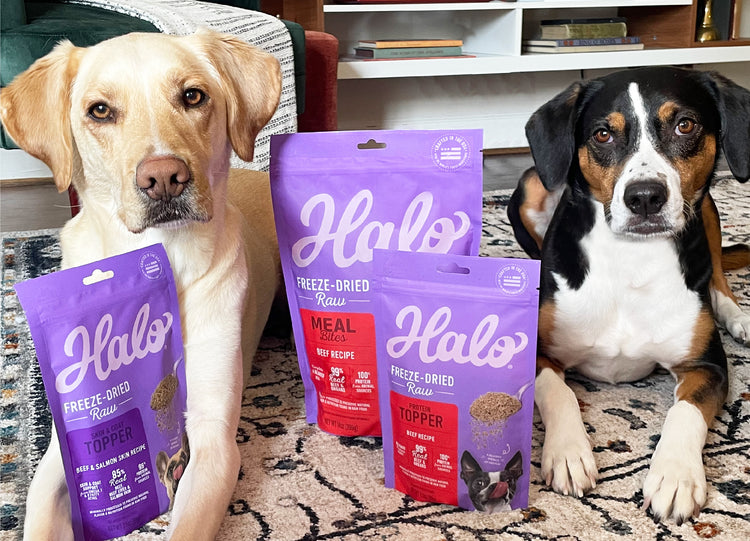 Save 25% on Freeze-Dried Raw Dog Food