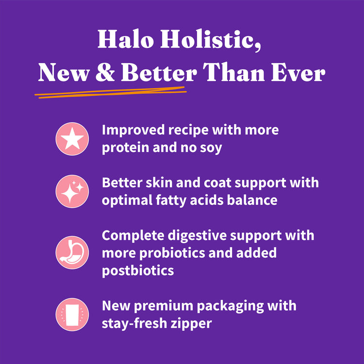 Holistic Healthy Weight Support Grain Free Wild-Caught Salmon and Whitefish Recipe Indoor Dry Cat Food