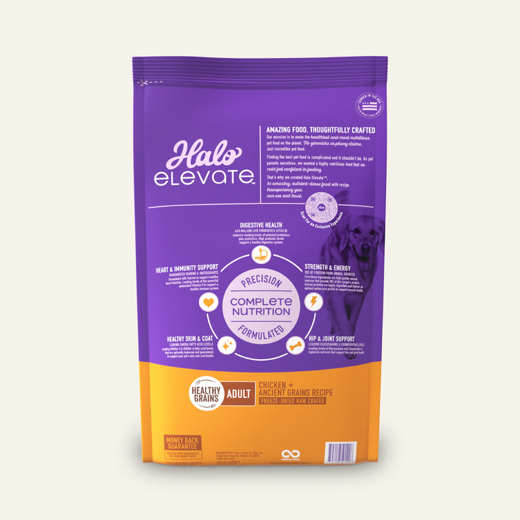 Elevate Healthy Grains Chicken Recipe Adult Dry Dog Food