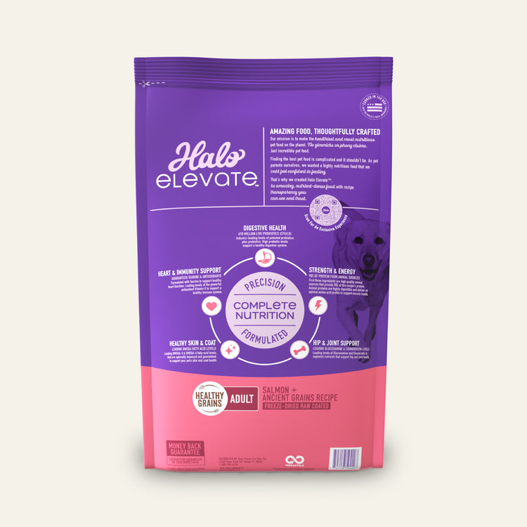 Elevate Healthy Grains Salmon Recipe Adult Dry Dog Food