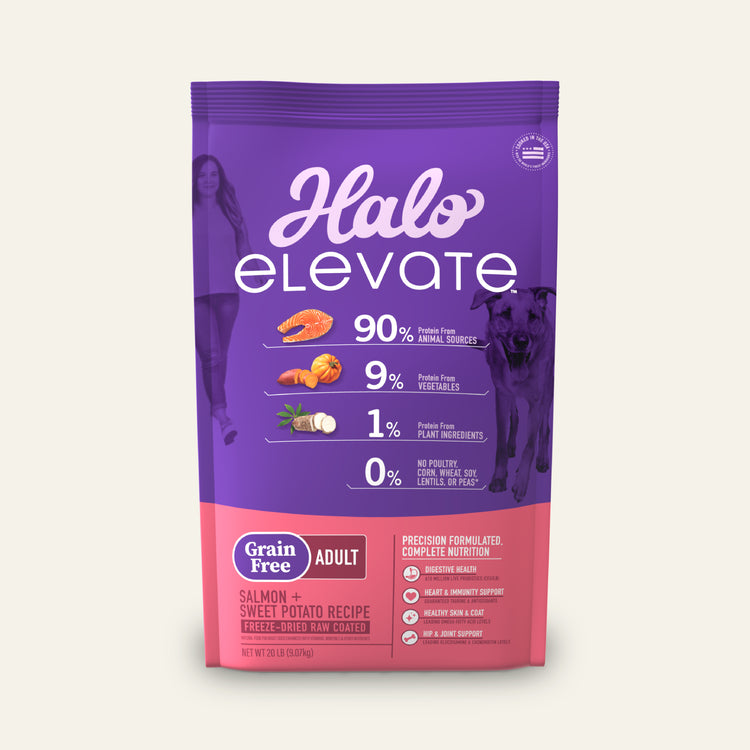 Elevate Grain Free Salmon Recipe Adult Dry Dog Food