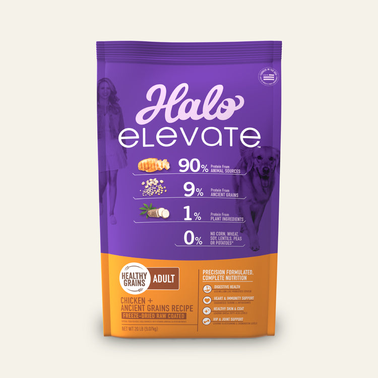 Elevate Healthy Grains Chicken Recipe Adult Dry Dog Food