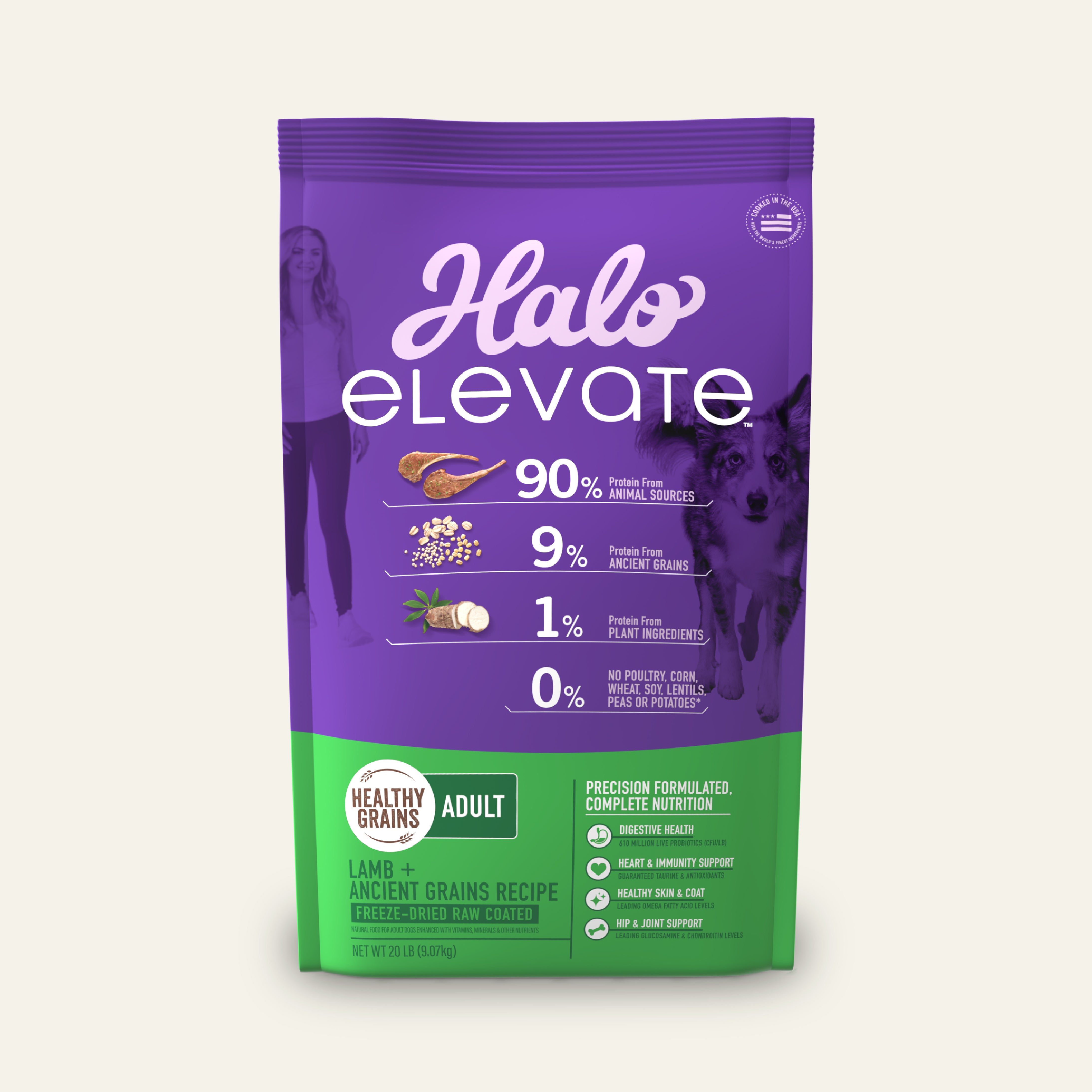 Elevate Healthy Grains Lamb Recipe Adult Dry Dog Food