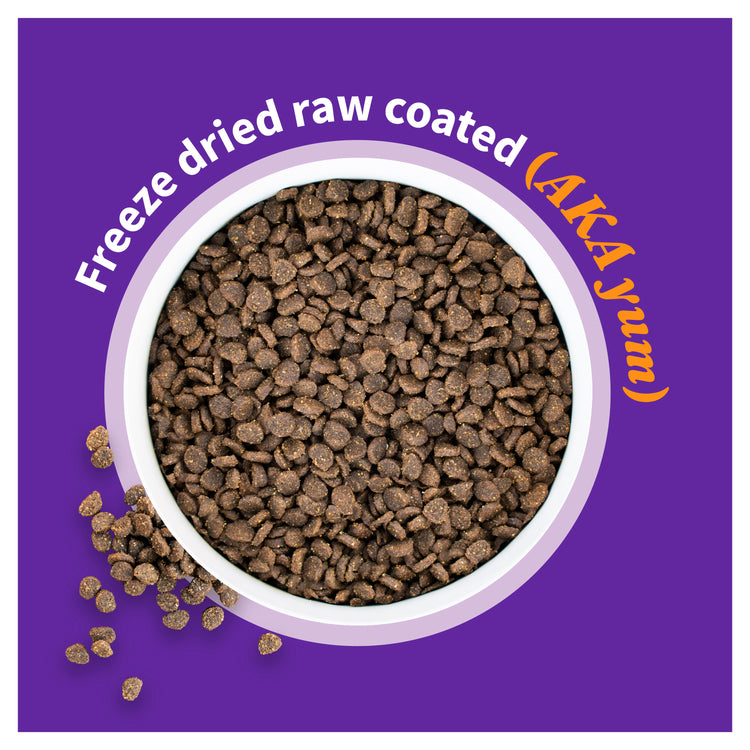 Elevate Healthy Grains Chicken Recipe Dry Puppy Food