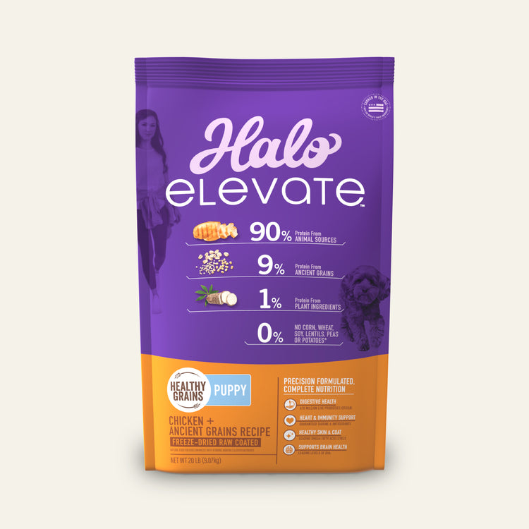 Elevate Healthy Grains Chicken Recipe Dry Puppy Food