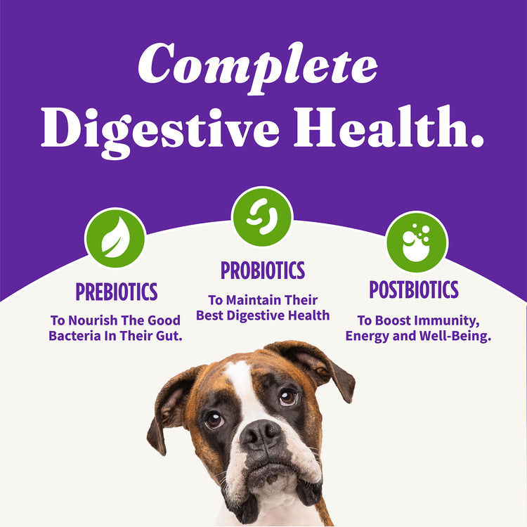 Holistic Vegan Plant-Based with Superfoods Recipe Adult Dry Dog Food