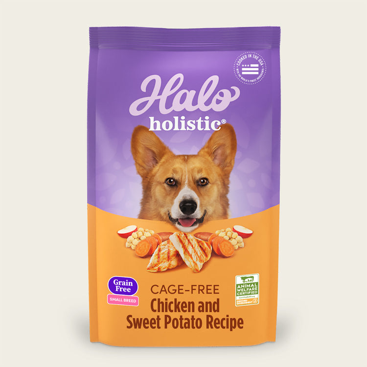 Holistic Grain Free Cage-Free Chicken & Sweet Potato Recipe Small Breed Dry Dog Food