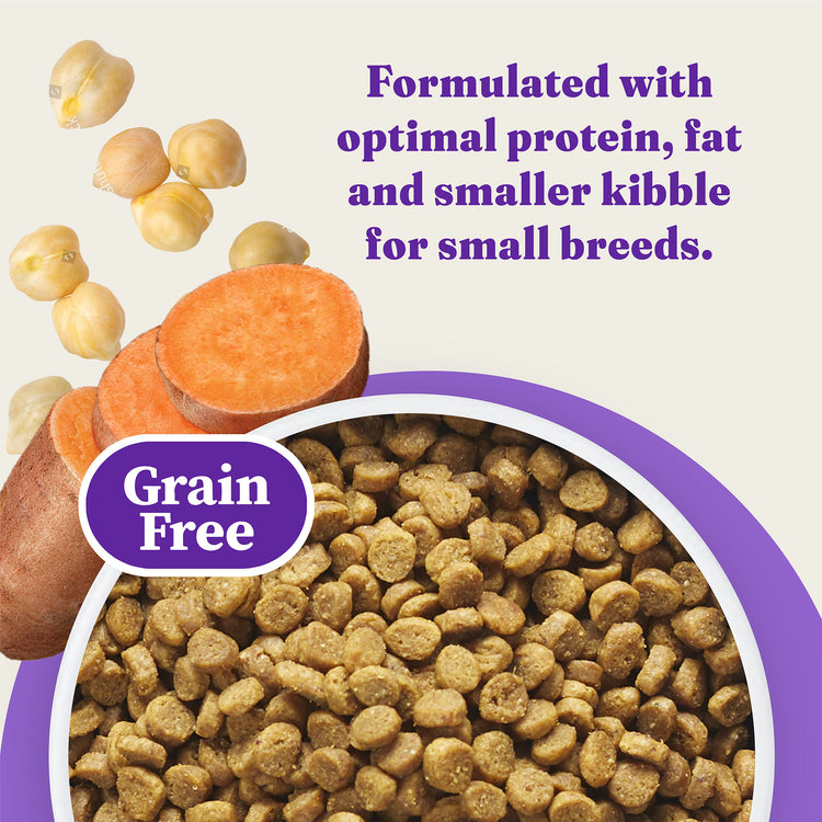Holistic Grain Free Cage-Free Chicken & Sweet Potato Recipe Small Breed Dry Dog Food