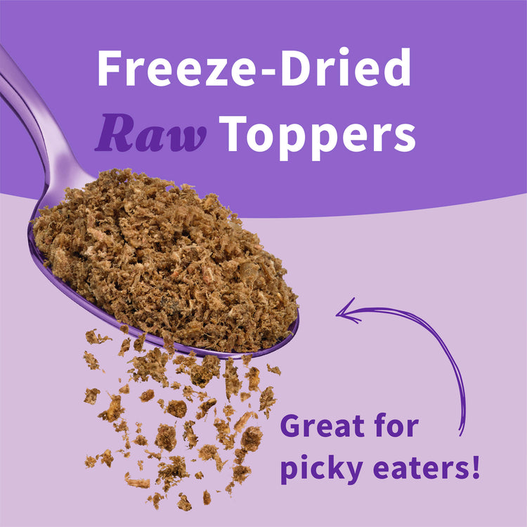 Freeze-Dried Raw Skin & Coat Topper 1 lb