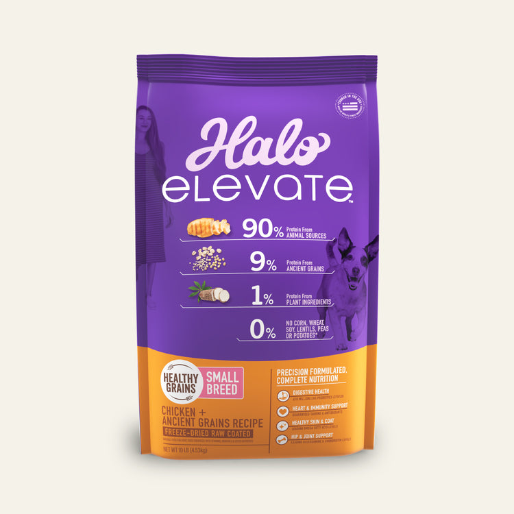 Elevate Healthy Grains Chicken Recipe Small Breed Dry Dog Food