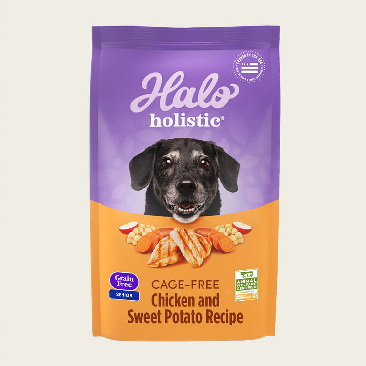 Holistic Grain Free Cage-Free Chicken & Sweet Potato Recipe Senior Dry Dog Food