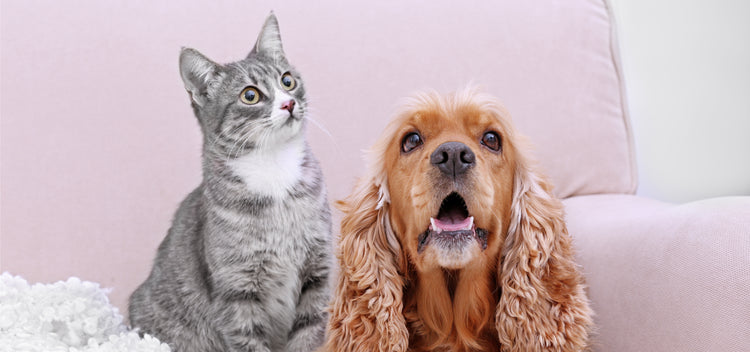 You played favorites.