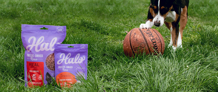 25% Off - National Pet Parents Day