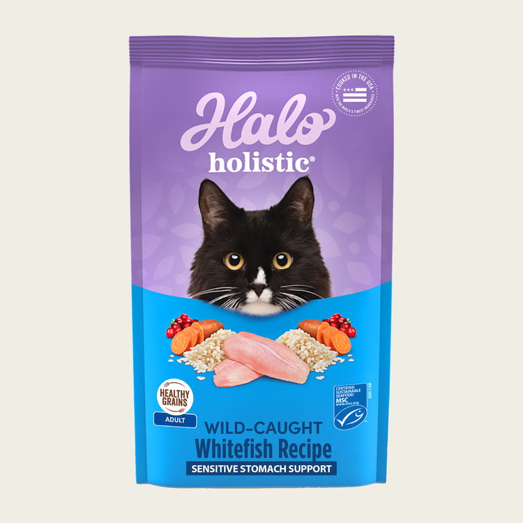 Halo Holistic® Wild-Caught Whitefish Cat Food - Sensitive Stomach Support - 6 lbs
