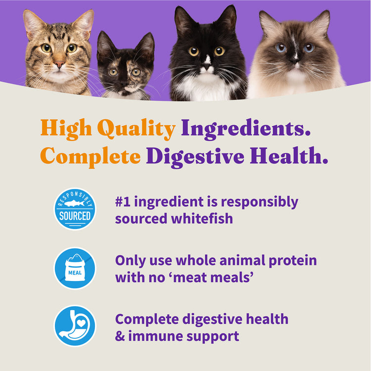 Holistic Sensitive Stomach Support Healthy Grains Wild-Caught Whitefish Recipe Adult Dry Cat Food 6 lb