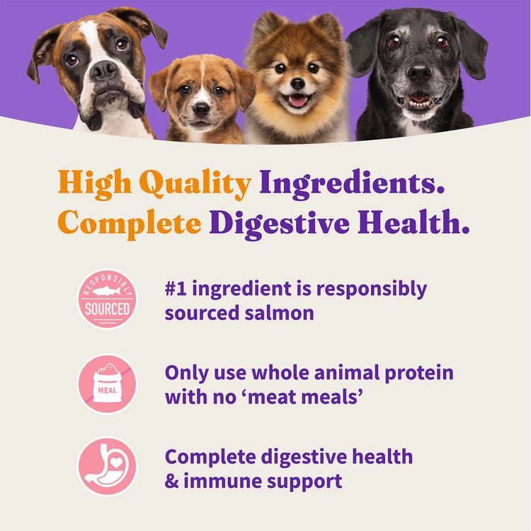 Holistic® Adult Dog Healthy Grains Wild-caught Salmon & Whitefish Dog Food
