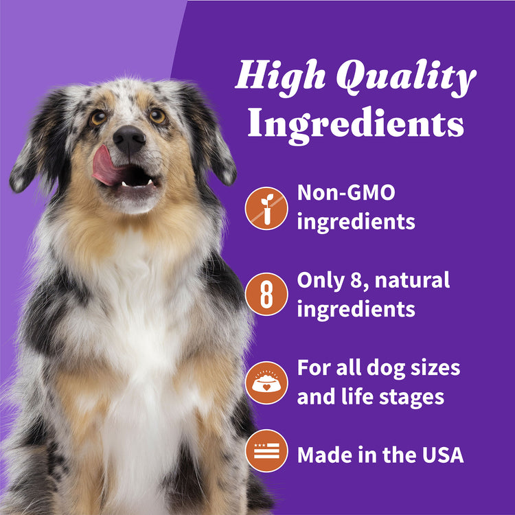 Holistic Plant Based with Sweet Potatoes & Carrots Dog Biscuits 8 oz