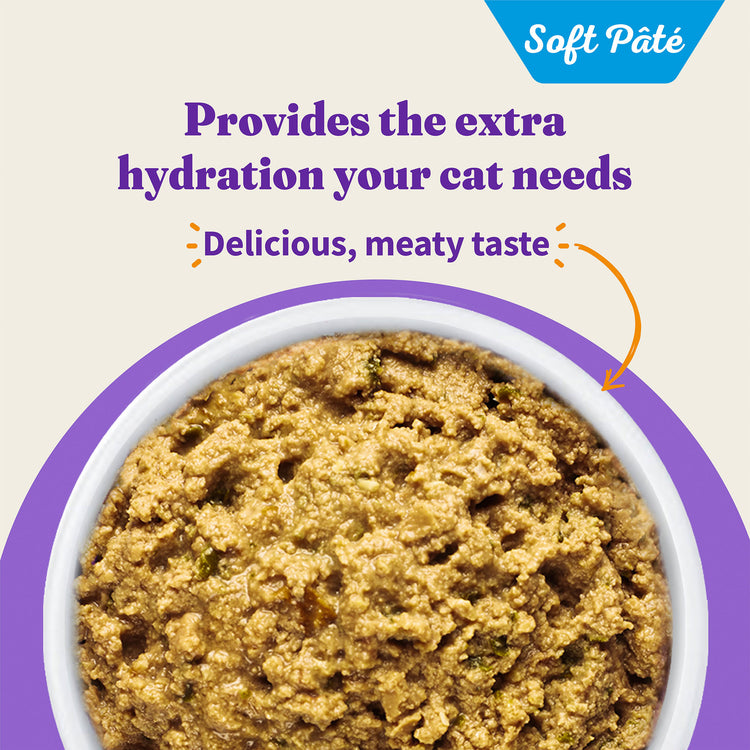 Grain Free Chicken Recipe in Broth Soft Pâté Adult Wet Cat Food, 5.5 oz can (case of 12)