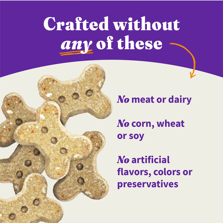 Holistic Plant Based with Oats Blueberries Dog Biscuits oz