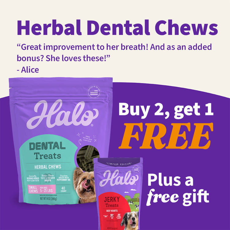 Herbal Dental Chews Buy 2 Get 1 Free + Free Treat