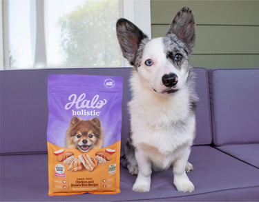 Halo, Purely For Pets