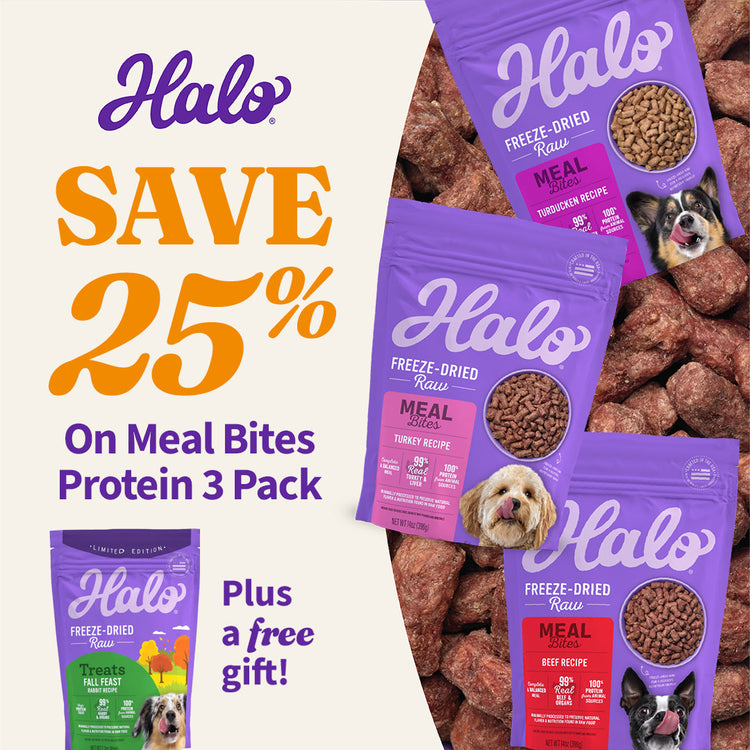 Freeze-Dried Raw Meal Bites Variety 3 Pack + Free Treat