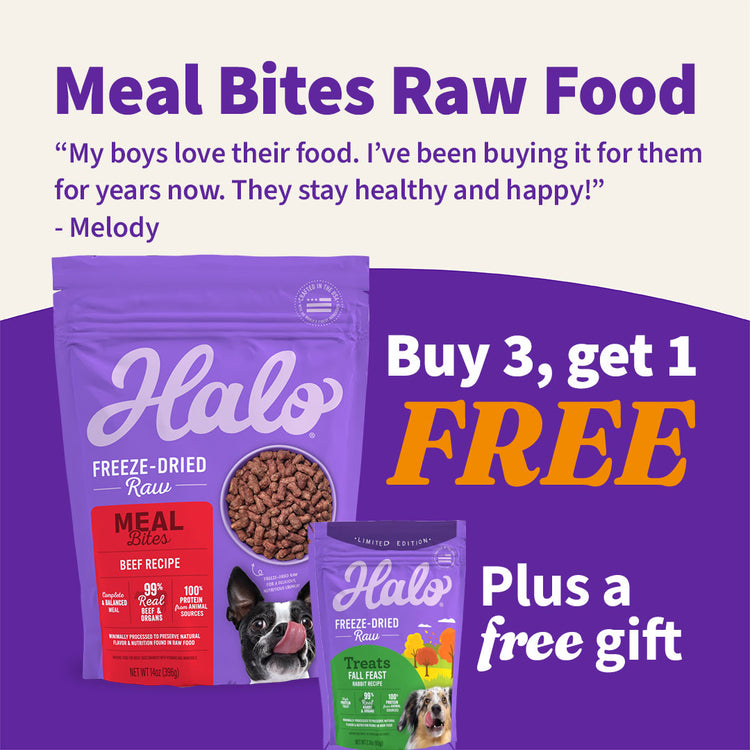 Freeze-Dried Raw Beef Meal Bites Buy 3 Get 1 Free + Free Treat