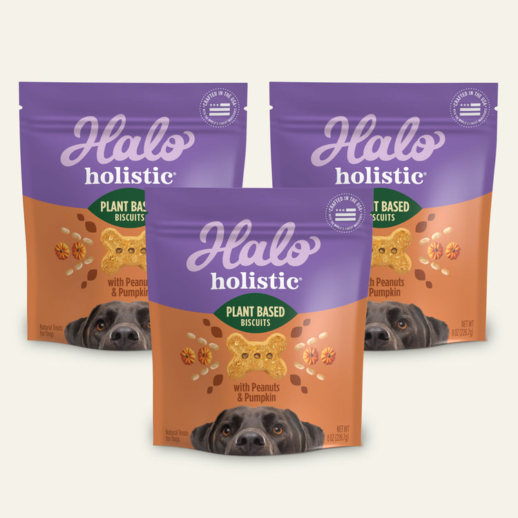 Holistic Plant Based with Peanut & Pumpkin Dog Biscuits 3 Pack