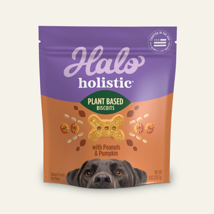 Holistic Plant Based with Peanut & Pumpkin Dog Biscuits 8 oz
