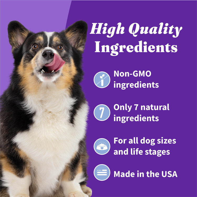 Halo Holistic® Plant-Based Dog Treats with Oats and Blueberries