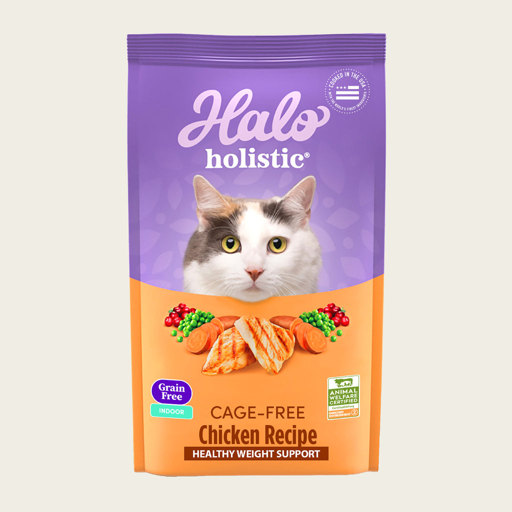 Holistic Healthy Weight Support Grain Free Chicken Recipe Indoor Dry Cat Food