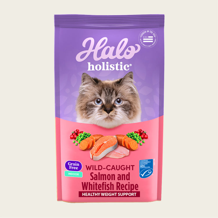 Holistic Healthy Weight Support Grain Free Wild-Caught Salmon and Whitefish Recipe Indoor Dry Cat Food