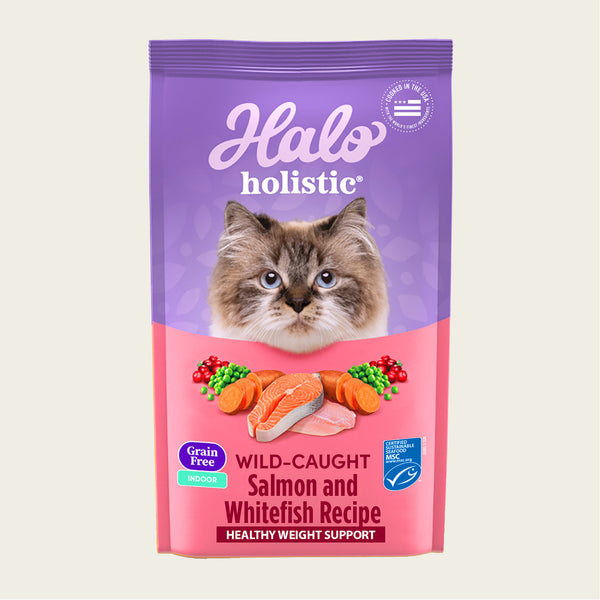 Healthy indoor cat outlet food