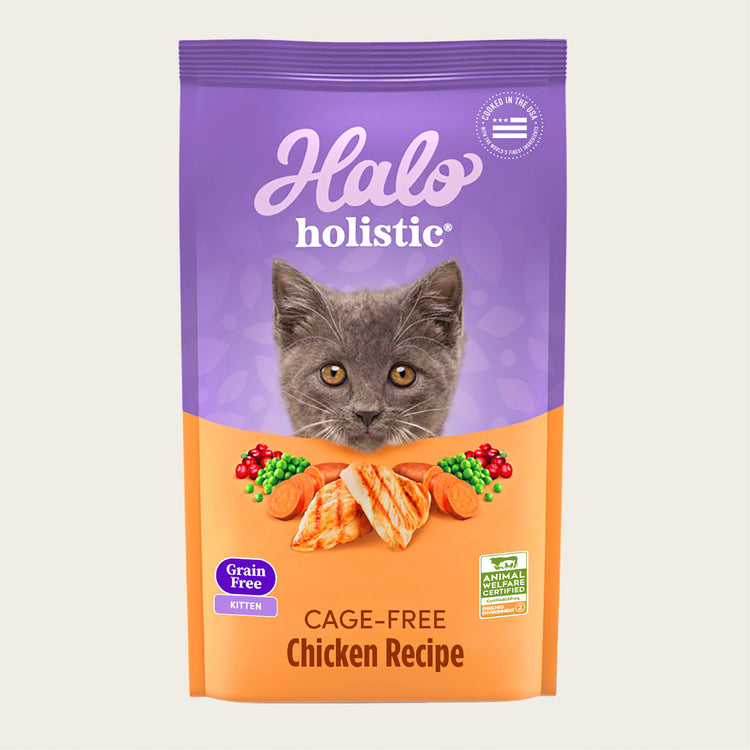 Holistic Grain Free Cage-Free Chicken Recipe Dry Kitten Food