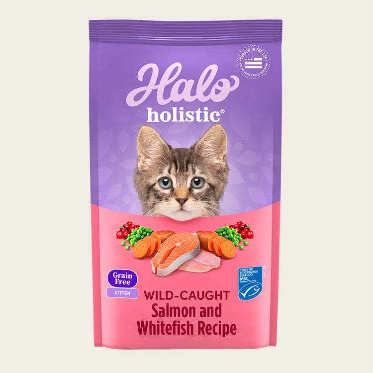 Holistic Grain Free Wild-Caught Salmon and Whitefish Recipe Dry Kitten Food