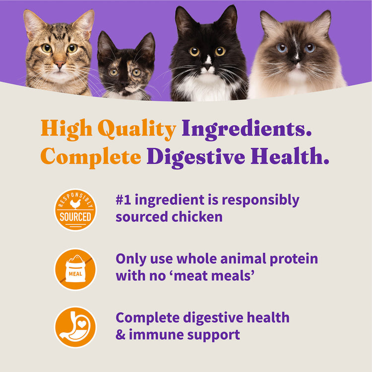 Holistic Grain Free Cage-Free Chicken Recipe Dry Kitten Food