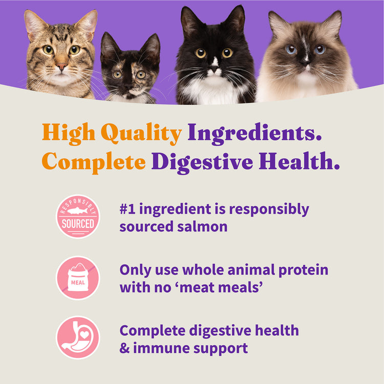 Holistic Healthy Weight Support Grain Free Wild-Caught Salmon and Whitefish Recipe Indoor Dry Cat Food