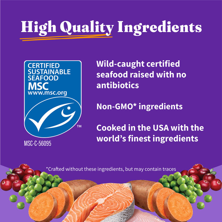 Holistic Healthy Weight Support Grain Free Wild-Caught Salmon and Whitefish Recipe Indoor Dry Cat Food