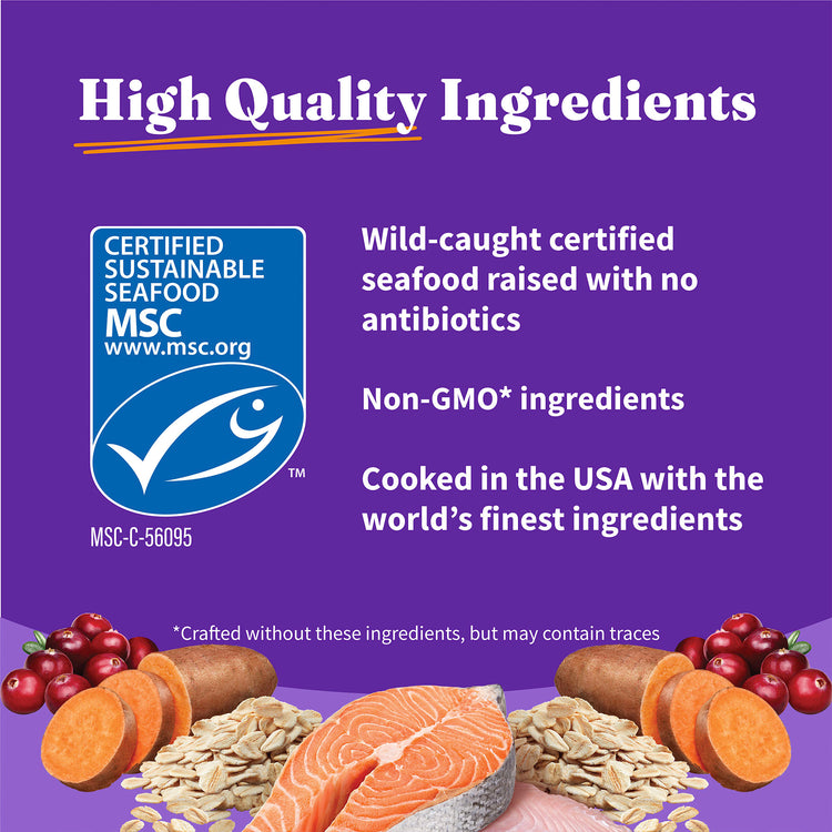 Holistic Healthy Grains Wild-Caught Salmon and Whitefish Recipe Adult Dry Cat Food