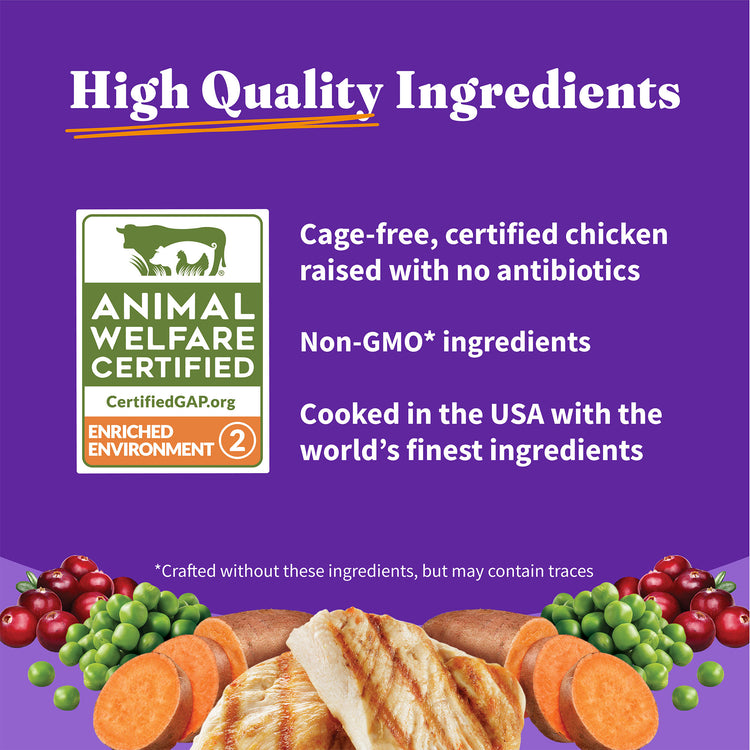 Holistic Cage-Free Chicken Indoor Cat Food - Healthy Weight Support