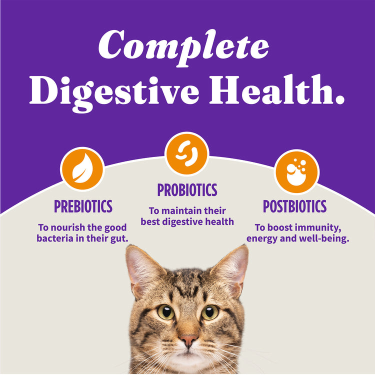 Holistic Cage-Free Chicken Indoor Cat Food - Healthy Weight Support