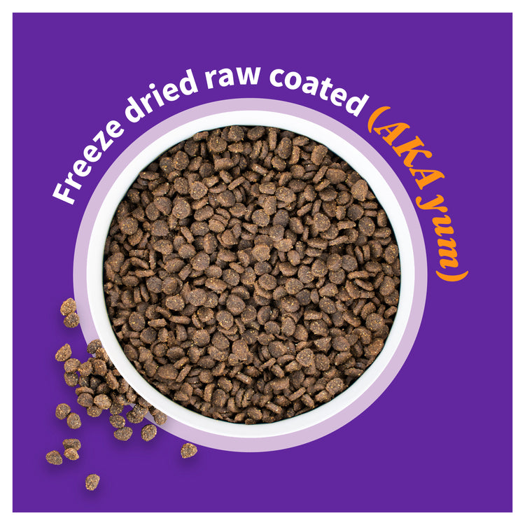 Elevate Grain Free Red Meat Recipe Dry Puppy Food