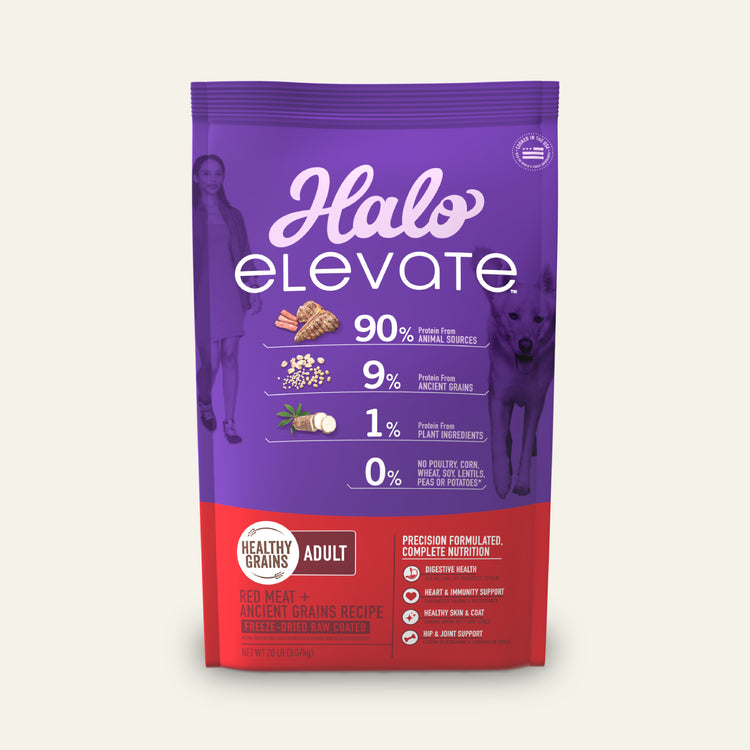 Elevate Healthy Grains Red Meat Recipe Adult Dry Dog Food