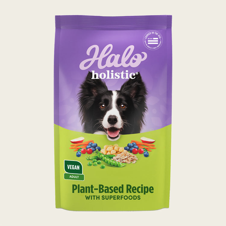 Holistic Vegan Plant-Based with Superfoods Recipe Adult Dry Dog Food