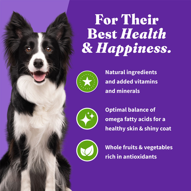 Holistic Vegan Plant-Based with Superfoods Recipe Adult Dry Dog Food