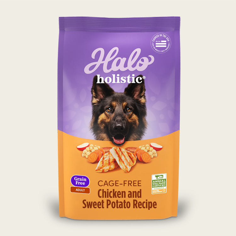 Holistic Cage-Free Chicken & Sweet Potato Dog Food