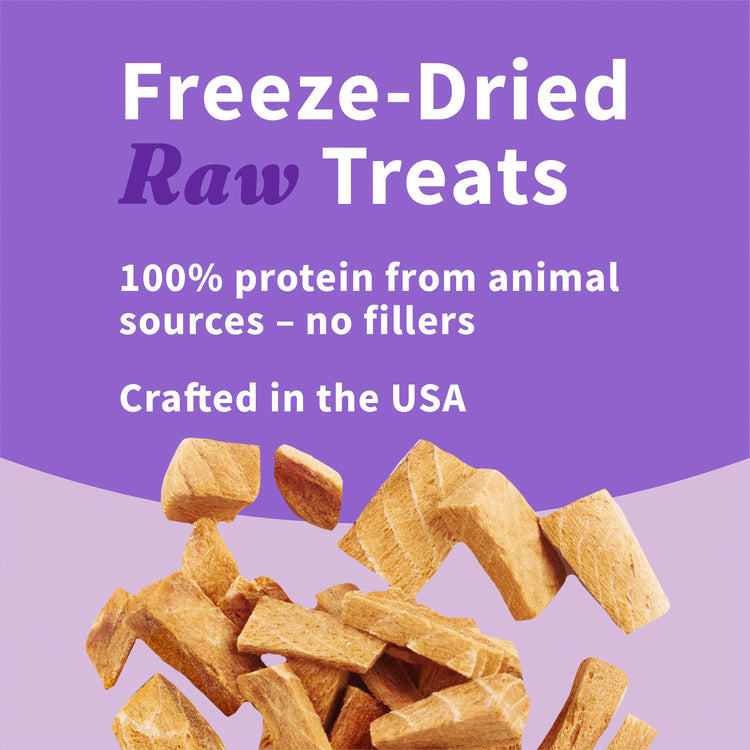 Freeze-Dried Raw Salmon Cat Treats 1.6 oz