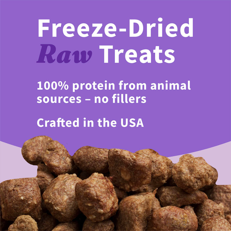 Freeze-Dried Raw Beef Dog Treats 2.5 oz